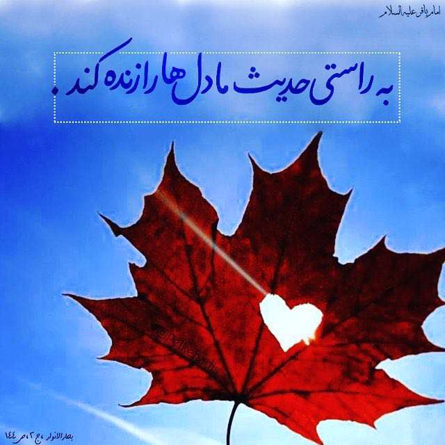 سبب زنده شدن دلها